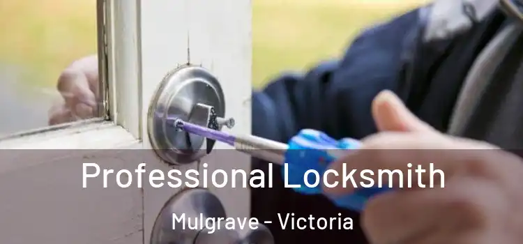 Professional Locksmith Mulgrave - Victoria